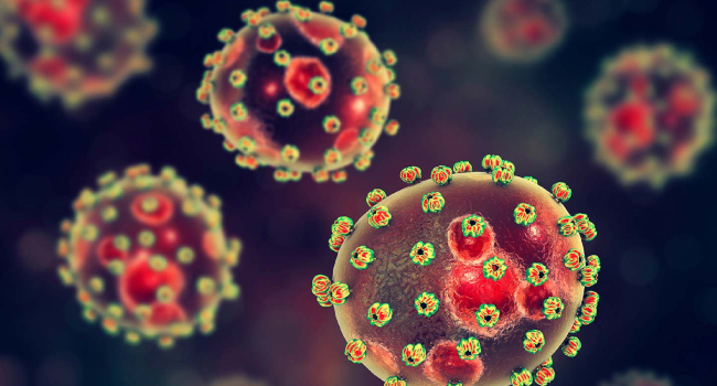 NCDC Confirms 165 Lassa Fever Cases, 31 Deaths In Five Weeks • Channels Television 1 NCDC Confirms 165 Lassa Fever Cases, 31 Deaths In Five Weeks • Channels Television