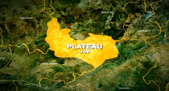 Plateau Confirms Lassa Fever Outbreak, Records 11 Cases, Four Deaths – THISDAYLIVE