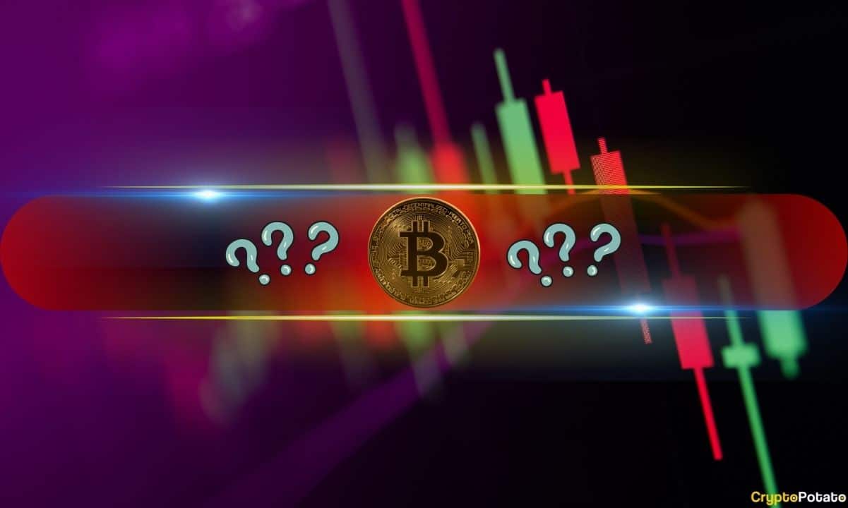 These Altcoins Bleed Out the Most as Bitcoin Dipped to 17-Day Low: Market Watch