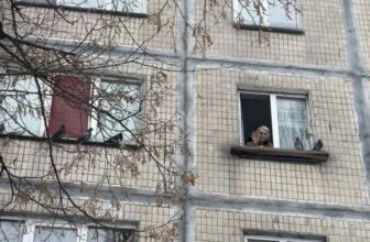 Ukraine's elderly struggle through Russian airstrikes : NPR