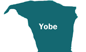 We are satisfied with pace of federal, state projects in Yobe - NSE, COREN 1 We are satisfied with pace of federal, state projects in Yobe - NSE, COREN