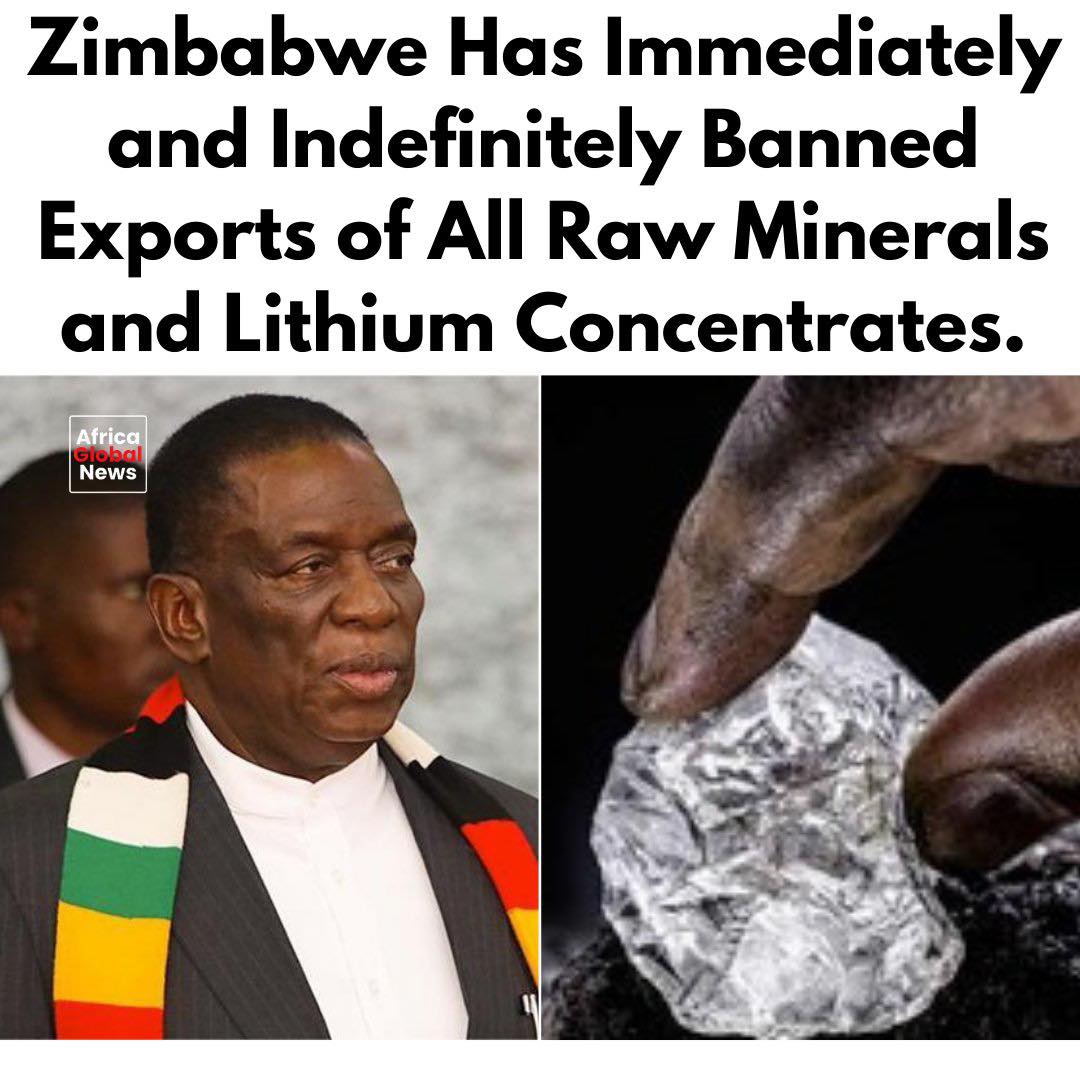 Zimbabwe has announced the immediate and indefinite suspension of all raw minera