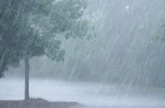 𝐖𝐡𝐲 𝐍𝐢𝐠𝐞𝐫𝐢𝐚 𝐦𝐚𝐲 𝐞𝐱𝐩𝐞𝐫𝐢𝐞𝐧𝐜𝐞 𝐮𝐧𝐮𝐬𝐮𝐚𝐥 𝐫𝐚𝐢𝐧𝐟𝐚𝐥𝐥 𝐢𝐧 𝟐𝟎𝟐𝟔 — 𝐄𝐱𝐩𝐞𝐫𝐭𝐬