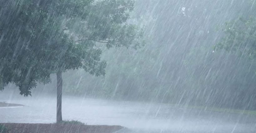 𝐖𝐡𝐲 𝐍𝐢𝐠𝐞𝐫𝐢𝐚 𝐦𝐚𝐲 𝐞𝐱𝐩𝐞𝐫𝐢𝐞𝐧𝐜𝐞 𝐮𝐧𝐮𝐬𝐮𝐚𝐥 𝐫𝐚𝐢𝐧𝐟𝐚𝐥𝐥 𝐢𝐧 𝟐𝟎𝟐𝟔 — 𝐄𝐱𝐩𝐞𝐫𝐭𝐬