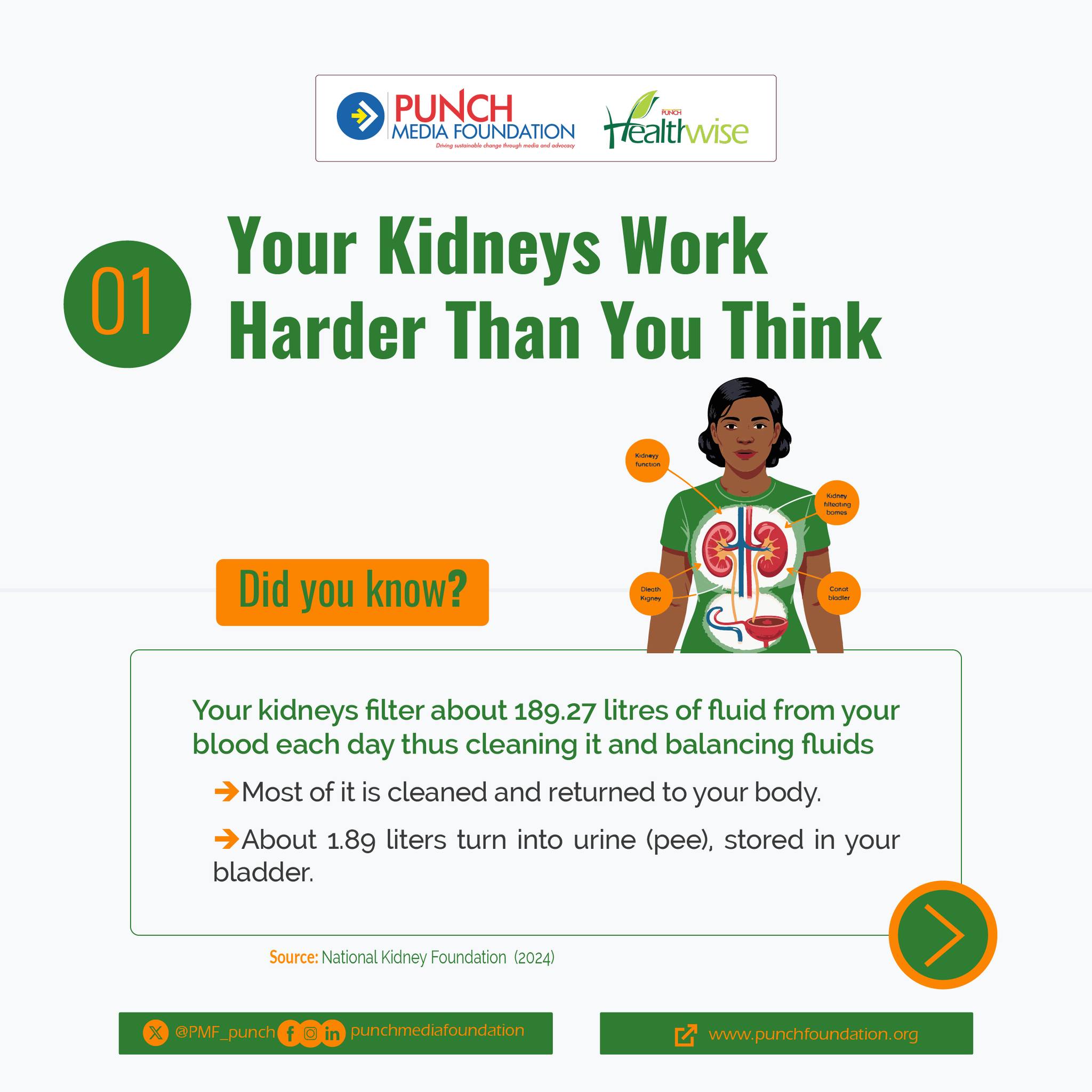 652474846 929914229676305 7576082870633525124 n