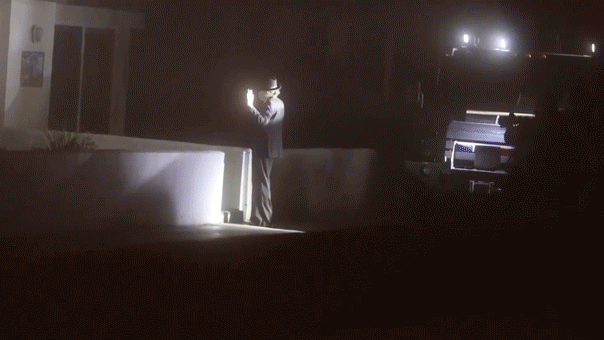 Bizarrely dressed suspect arrested as millionaire found dead in beach home