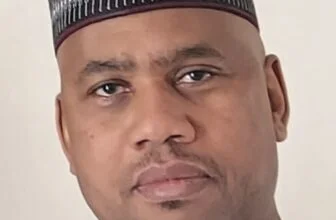 Nigeria’s AI readiness and insights from India’s Seven Chakras, by Jimeh Saleh — Daily Nigerian