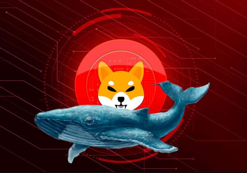 Shiba Inu Whale Gives In After 2 Years, Dumps 14.5B SHIB at 83% Loss