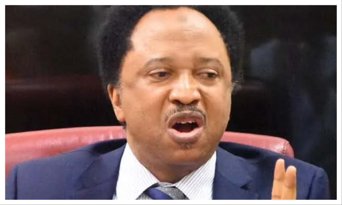 US lawmakers appear powerless before Trump - Shehu Sani
