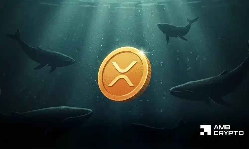 XRP resilience vs. Bitcoin’s macro‑driven weakness: Impact on investor sentiment 6 XRP resilience vs. Bitcoin’s macro‑driven weakness: Impact on investor sentiment