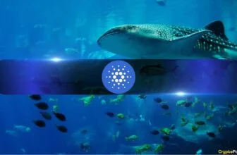 Cardano Whale Wallets Hit 4-Month High as ADA Stays Depressed