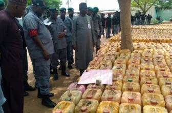 NCS records massive seizure of PMS worth over N93m in Adamawa – Tribune Online