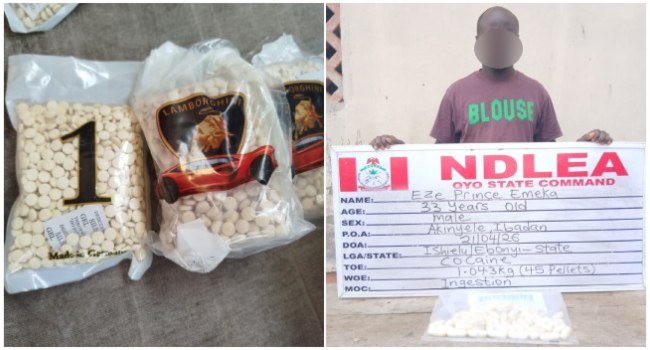 NDLEA Intercepts Terror Drug ‘Captagon’ In Kwara As Businessman Excretes 45 Cocaine Wraps • Channels Television