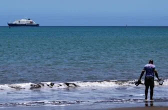 A cruise ship is waiting for help after suspected hantavirus outbreak : NPR