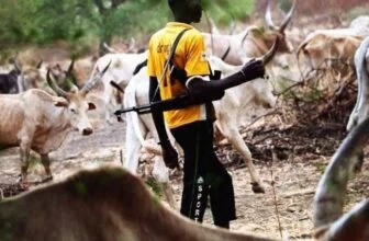 BREAKING: Suspected herdsmen ambush farmers in Benue, kill many