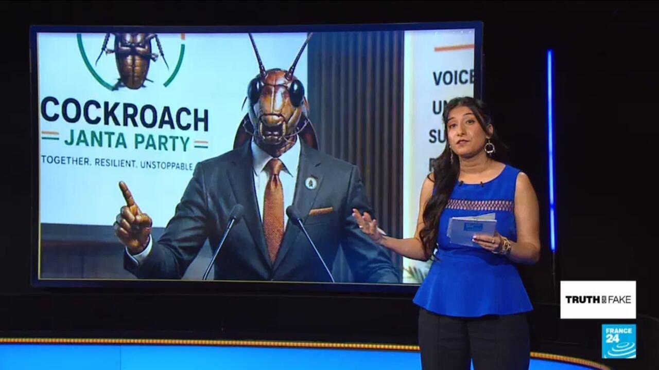 Cockroach Janta Party: India's youth turn judge's jab into viral political movement - Truth or Fake