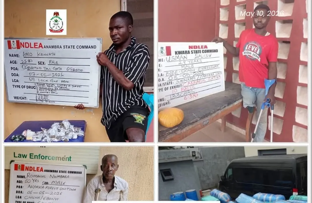 NDLEA arrests 3 PWDs for drug trafficking, uncovers N5.8bn Loud — Daily Nigerian