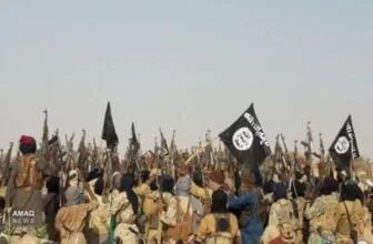 Nigerian, US Forces kill over 20 ISWAP fighters in Borno airstrikes