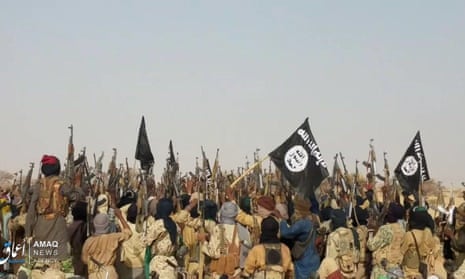 Nigerian, US Forces kill over 20 ISWAP fighters in Borno airstrikes