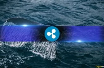 Why Ripple (XRP) Accumulation Continued Despite Market Fear and Liquidations