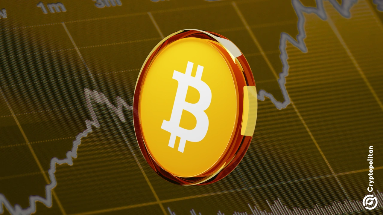 Wintermute says Bitcoin’s push past $80,000 is a short squeeze, not a healthy rally amid stagnant US Iran negotiations