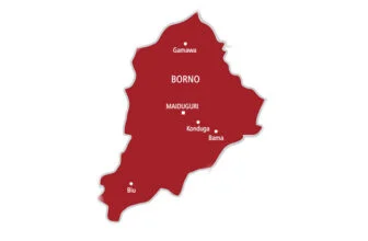 Map of Borno State