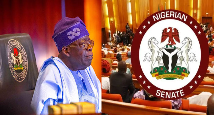 BREAKING: Tinubu transmits State Police Bill to Senate for constitutional amendment 1 BREAKING: Tinubu transmits State Police Bill to Senate for constitutional amendment