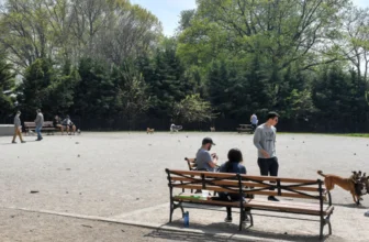 Man dead, another critical after double stabbing at Brooklyn park: NYPD