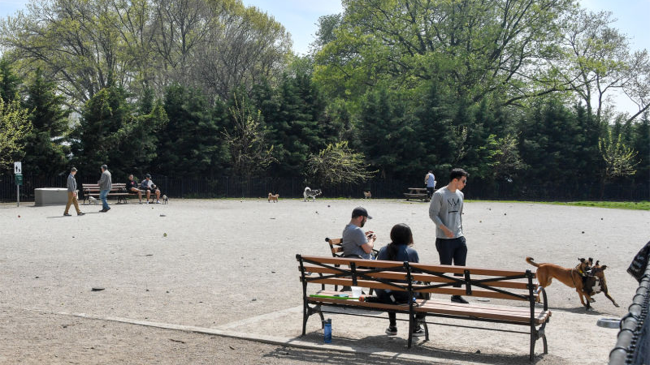 Man dead, another critical after double stabbing at Brooklyn park: NYPD