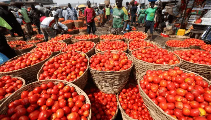 Tomato Price FCT: Residents Decry Rising Cost in Abuja 1 FCT residents decry rising cost of tomatoes