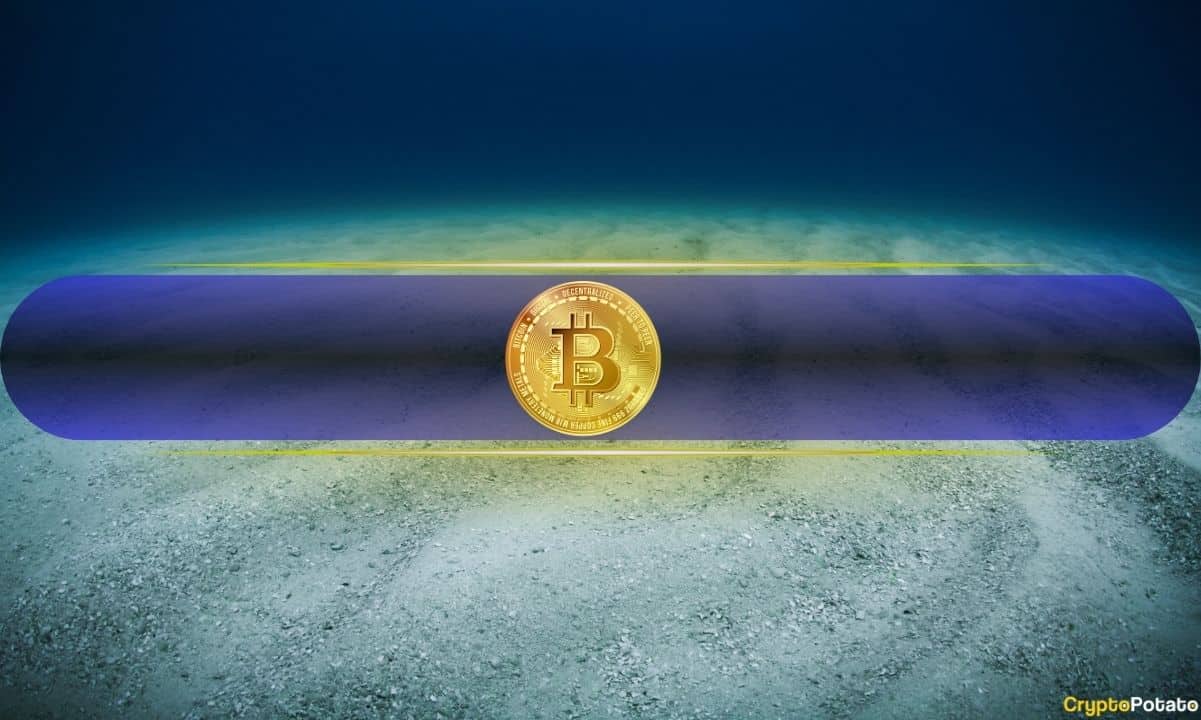 Brian Armstrong Asks if Bitcoin Bottom Is In, Crypto Community Can't Agree 1 Brian Armstrong Asks if Bitcoin Bottom Is In, Crypto Community Can't Agree