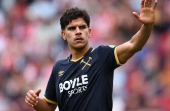 Man United captain did everything he could before Tottenham sealed Mateus Fernandes transfer