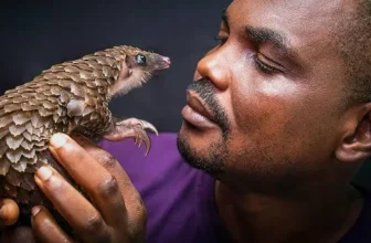 A wildlife conservation expert, Dr Mark Ofua