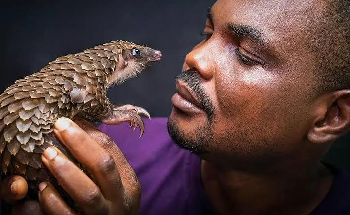 Snake Protection Laws Needed to Curb Lassa Fever, Expert Say 1 A wildlife conservation expert, Dr Mark Ofua