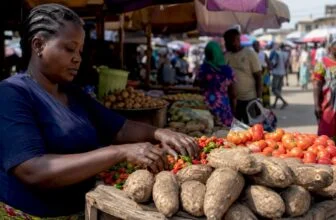 Food vendor arranging produce in Nigerian market