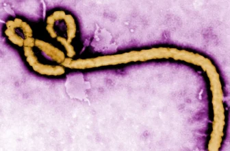 DR Congo Ebola Outbreak Becomes Deadliest in History