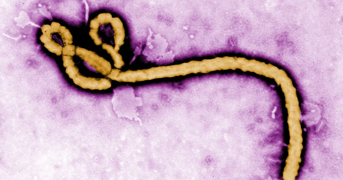 DR Congo Ebola Outbreak Becomes Deadliest in History 1 DR Congo Ebola Outbreak Becomes Deadliest in History