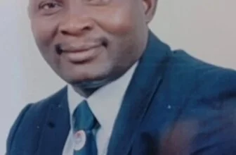 Nigeria Produces 1m Tons Of Mangoes Annually, Ranks 11th Globally – NAMPPMAN
