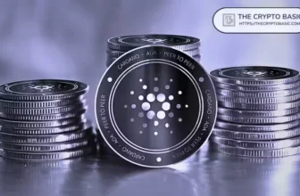 Top Cardano DRep Issues Crucial Midnight Airdrop Reminder to ADA Holders