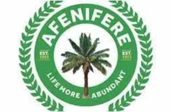 Afenifere raises fresh alarm over banditry upsurge in South-west 