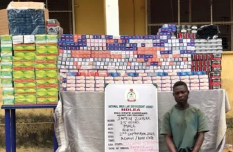 NDLEA destroys five cannabis farms, arrests three in Edo