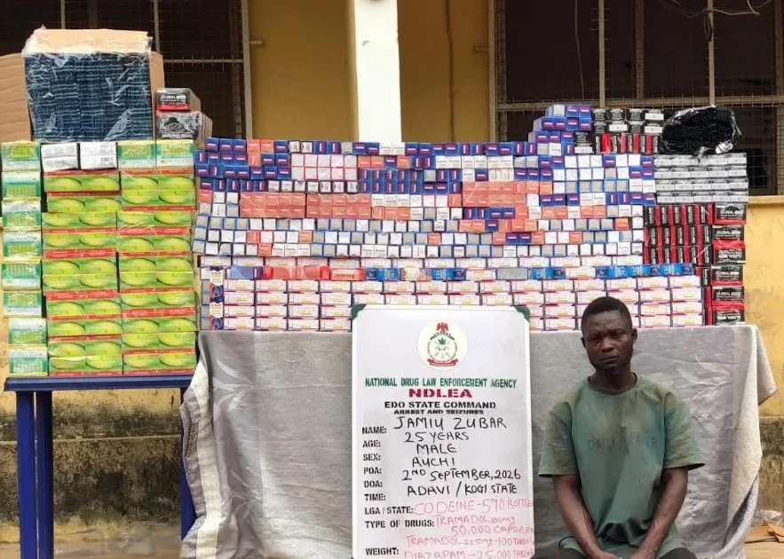 NDLEA destroys five cannabis farms, arrests three in Edo