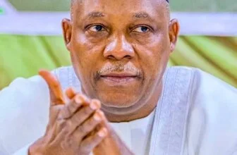 Nigeria Demands 2 Permanent UN Seats, Veto Powers For Africa