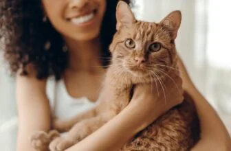 Science explains the secret love hormone that bonds you to your cat