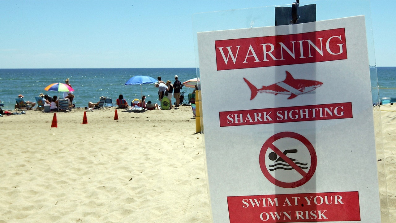 Swimmer suffers apparent shark bite at Martha’s Vineyard beach 3 Swimmer suffers apparent shark bite at Martha’s Vineyard beach