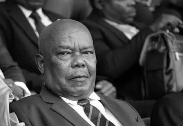 Tanzania President loses husband, Ameir Hassan