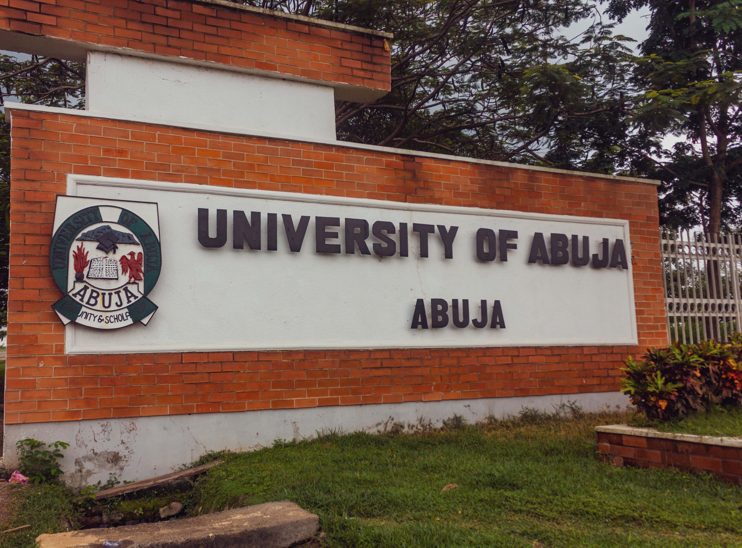 UNIABUJA, Fawehinmi and Emergence of FCT’s Knowledge Economy – THISDAYLIVE