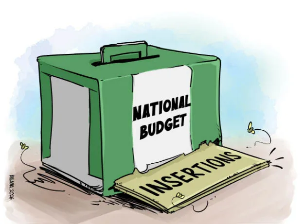 2027 Budget: Experts Warn Against New Appropriations Without Accounting for Previous Budgets – Daily Trust