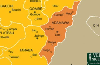 Adamawa Council Chairman Yahya Saidu dies months after taking office