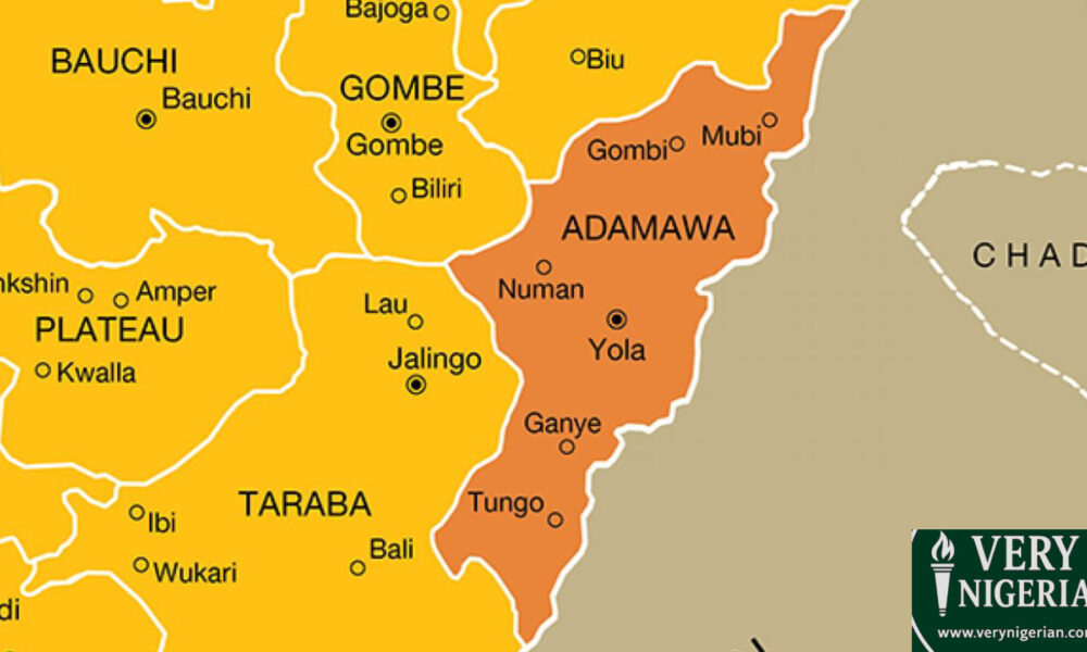 Adamawa Council Chairman Yahya Saidu dies months after taking office 1 Adamawa Council Chairman Yahya Saidu dies months after taking office
